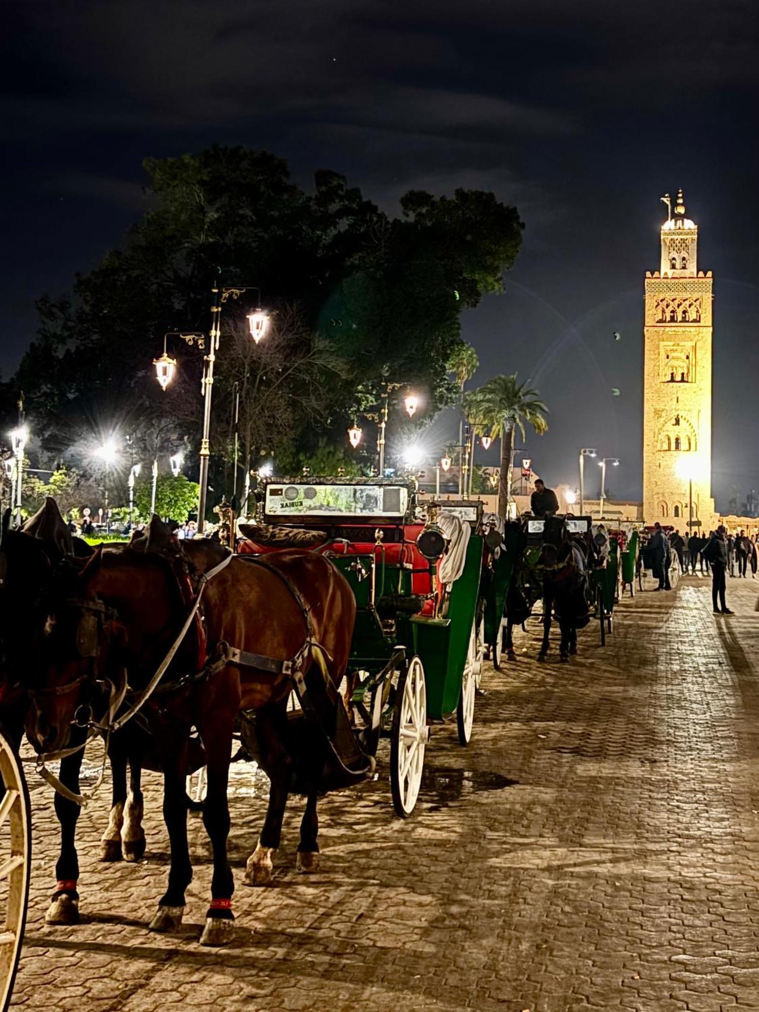 Riad La Cigale Marrakesh Ngoại thất bức ảnh